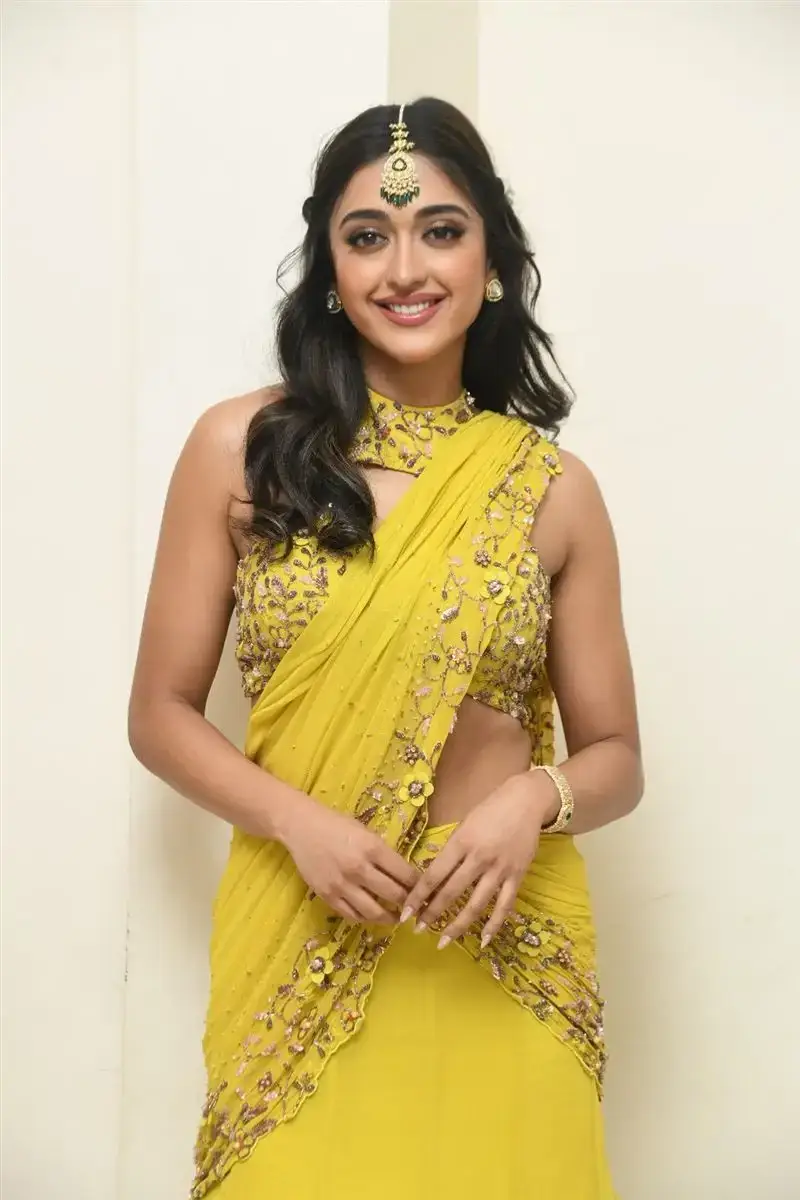 Actress Gayatri Bhardwaj Yellow Saree Tiger Nageswara Rao Movie